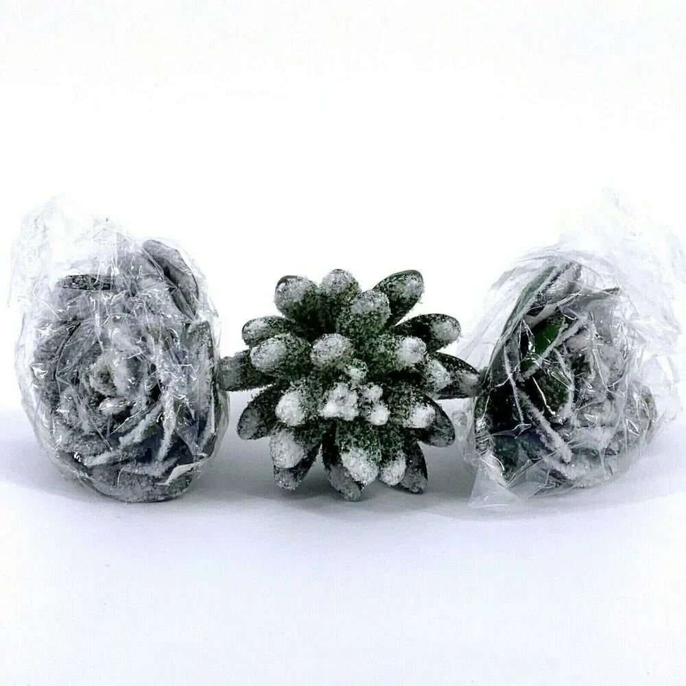 Craft Succulent Winter Frosted Glitter Snow Christmas Craft Plants 3.5″ Lot Of 3